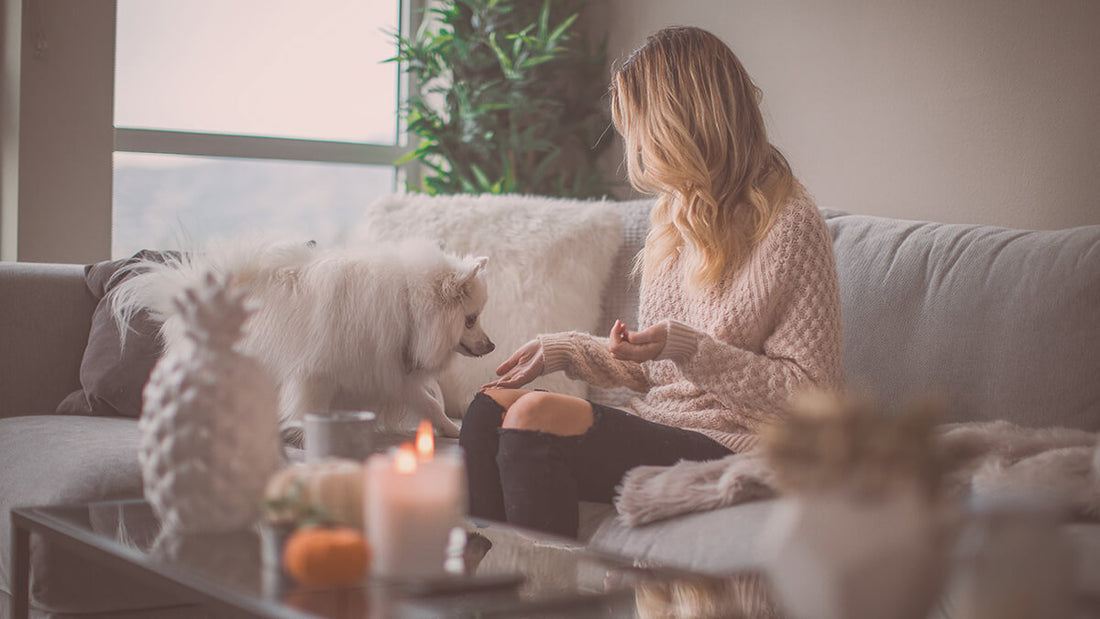 Addressing Perimenopause and Menopause at Home