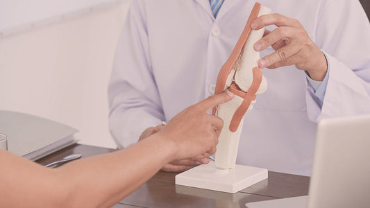 Using Probiotics for Bone and Joint Health in Menopause
