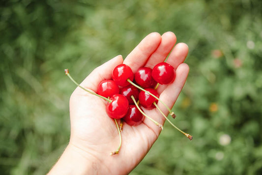 5 Reasons to Eat More Fiber in Menopause