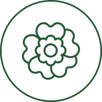 Lutein (Lutemax 2020®)