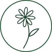 Alpinia Galanga Root Extract (enXtra®)